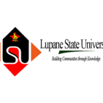Graduate Trainees (4 Posts)