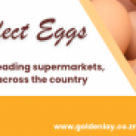 Goldenlay Agri Limited