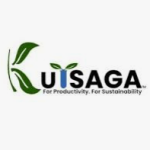 Kutsaga