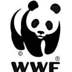 Assistant Grants Accountant: WWF Zimbabwe