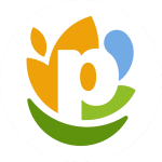 CHIEF EXECUTIVE OFFICER – Bokomo Botswana (Pty) Ltd