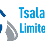 Business Development Executive