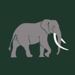 Gonarezhou Conservation Trust (GCT)