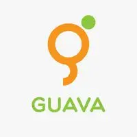 Guava Africa (Guava Telecommunications, Guava Pay, Guava Tech)